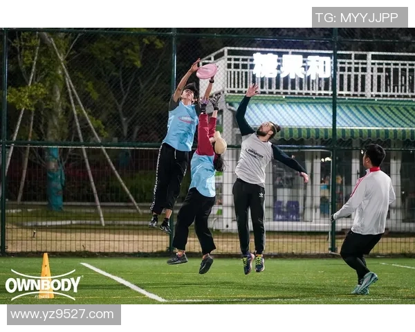 杭州飞盘队区域防守新策略探讨与实践分析