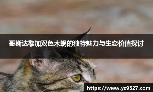 摩根娱乐平台
